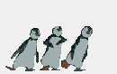 :pingouins: